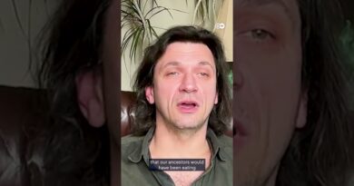 Are chimps chasing the buzz? | DW News