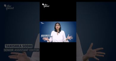 Are Reels on Instagram Promoting Caste Pride or Hierarchy? | The Quint