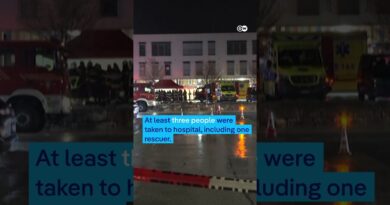 At least six people killed in bus fire in Switzerland | DW News