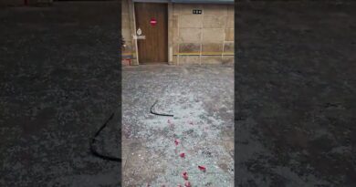 Baby and patients evacuated as Israel attacks Tehran hospital | AJ #shorts