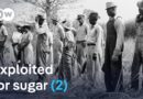 Blood, sweat, and human trafficking: How sugar created slavery (2/2) | DW Documentary