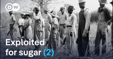 Blood, sweat, and human trafficking: How sugar created slavery (2/2) | DW Documentary