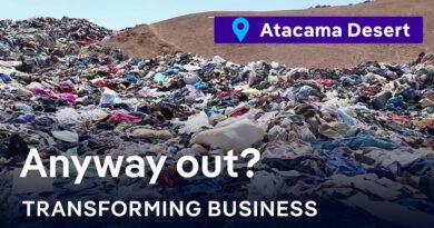Can AI kick-start textile recycling?  | Transforming Business
