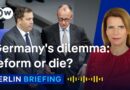 Can Germany reform its way out of the rise of the far right AfD? | Berlin Briefing Podcast