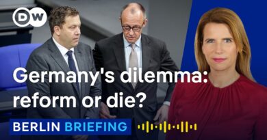 Can Germany reform its way out of the rise of the far right AfD? | Berlin Briefing Podcast