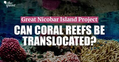 Can Nicobar Islands’ Corals Survive Translocation? Coral Biologist Raises Doubts | The Quint