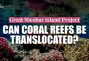 Can Nicobar Islands’ Corals Survive Translocation? Coral Biologist Raises Doubts | The Quint