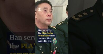 China removes 3 generals from national advisory body