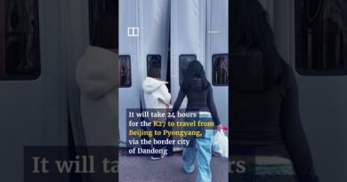 China to North Korea train service restarts