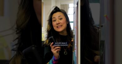 China’s Big Brother offer to Taiwan: Energy security in exchange for ‘reunification’? | DW News