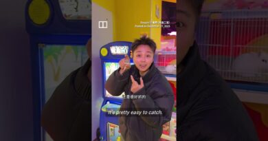 Chinese game centre slammed for using live hamsters in claw machine