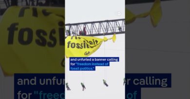 Climate stunt at German chancellery | DW News