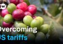 Colombia’s agriculture: Between tariffs and the search for new markets | DW Business