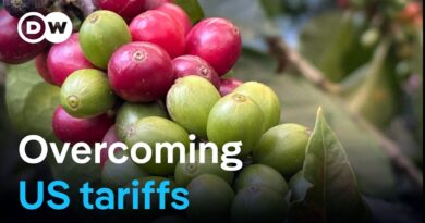Colombia’s agriculture: Between tariffs and the search for new markets | DW Business