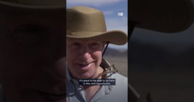 Death Valley bursts into bloom | DW News