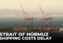 Disruptions in Strait of Hormuz: Shipping companies consider alternative routes