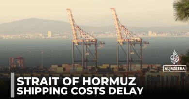 Disruptions in Strait of Hormuz: Shipping companies consider alternative routes