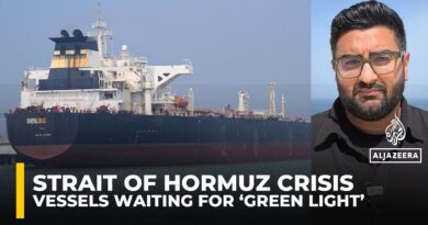 Dozens of stranded vessels outside Strait of Hormuz: Journalist