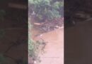 Drone footage captures flooding across Oahu, Hawaii