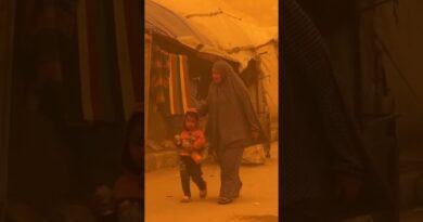 Dust storm sweeps Gaza │DW Shorts