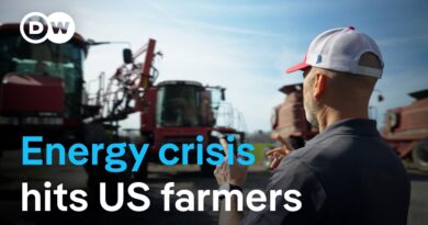 Energy crisis slams US farmers | DW News