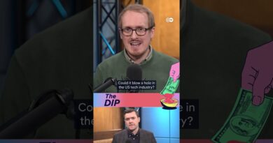 EU vs US: who could win in a trade war? | The Dip Podcast