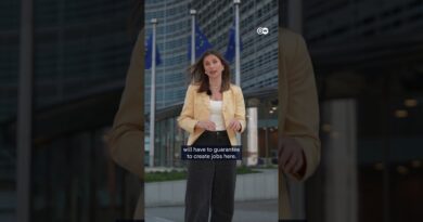 Europe’s risky protectionist plan against China | DW News