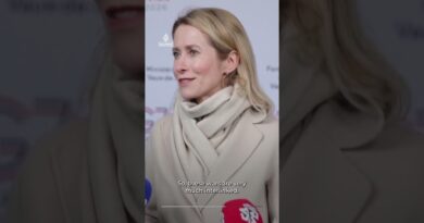 EU’s top diplomat urges US to pressure Russia to stop aiding Iran | AJ #shorts