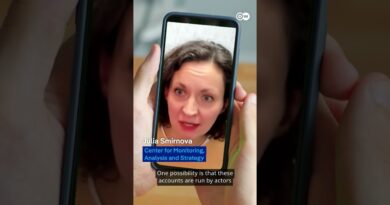 Fact check: Absurd German laws that don’t (actually) exist | DW News