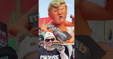 ‘Farage is the biggest danger to the country’: the UK’s biggest ever multicultural march