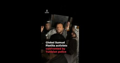 Gaza flotilla activists confronted by Tunisian police | AJ#shorts