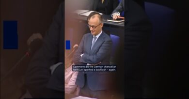 German Chancellor Merz links ‘explosion of violence’ against women to migration | DW News