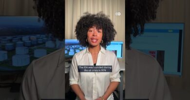 Germany to release parts of its oil reserves | DW News