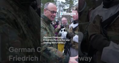 Germany’s Merz criticizes US for easing Russian oil sanctions │DW Shorts