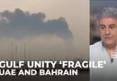 Gulf states maintain unity, but UAE and Bahrain may want to break ranks