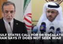 Gulf states push diplomacy as Iran vows war will end only on its terms