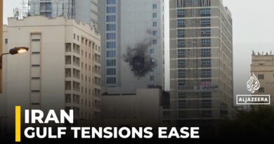 Gulf tensions ease after Iran apology, regional forces halt attacks