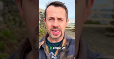 Harsh Penalties for Driving During Fuel Crisis? #australia #energylockdown #shortsviral