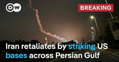 How are Gulf and Western leaders responding to US-Israeli attacks on Iran? | DW News