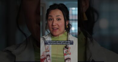 How Chinamaxxing boosts China’s soft power | DW News