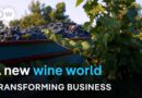 How climate change is reshaping the world’s wine map | Transforming Business