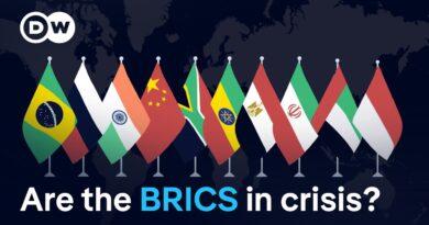 How come BRICS isn’t falling apart? | DW News