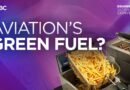 How Cooking Oil Became Aviation’s New Green Fuel