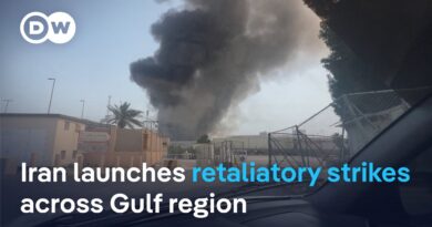 How damaging are Iran’s counterstrikes for the relations with its neighbors? | DW News