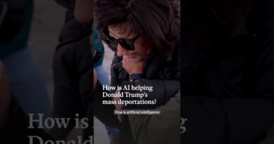 How is AI helping Donald Trump’s mass deportations? | The Economist