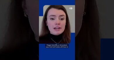 How long will the Gulf States tolerate the Iranian attacks? | DW News