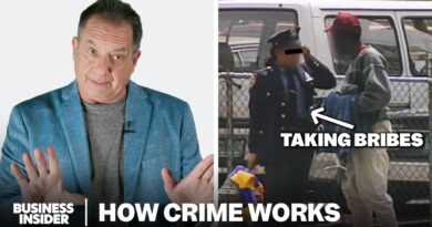 How Police Corruption Actually Works (US) | How Crime Works | Insider