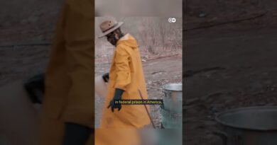 How the Mexican cartels took over the US opioid crisis | DW Documentary