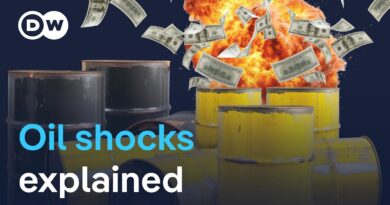 How the oil price shock from the Iran war will hit the global economy and your pocket | DW News