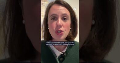 How will Israel’s new death penalty law work? | DW News